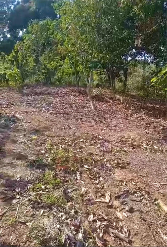 Finca Que Colinda Con Río En Monte Plata