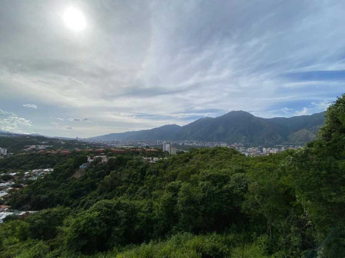 Imagen 21 de 21 de Vendo Casa 1462m2 5h/6b/6pe El Cafetal 0678