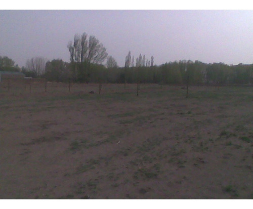 Imagen 12 de 15 de Terreno En Malargue Mendoza!