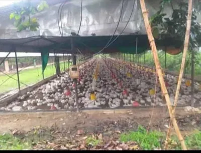 Hacienda-Finca en venta