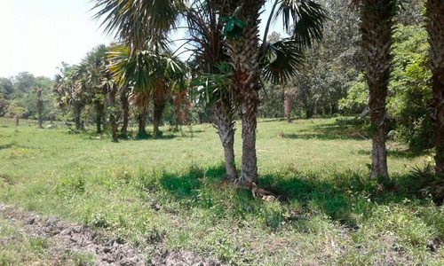 Venta Rancho 6 Hectáreas Hectáreas En Tuxpan Veracruz