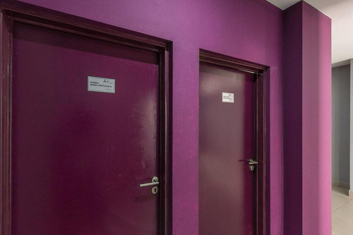 Departamento - Flores