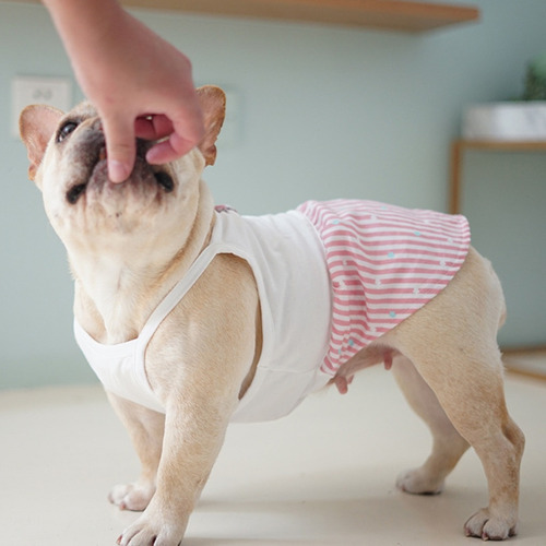 Imagem 4 de 11 de Elegante Pet Dr Filhote De Cachorro De Cachorro Saia Dr Prim
