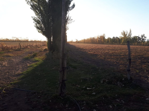 Imagen 14 de 17 de Vendo Campo De 300ha, San Rafael, Mendoza