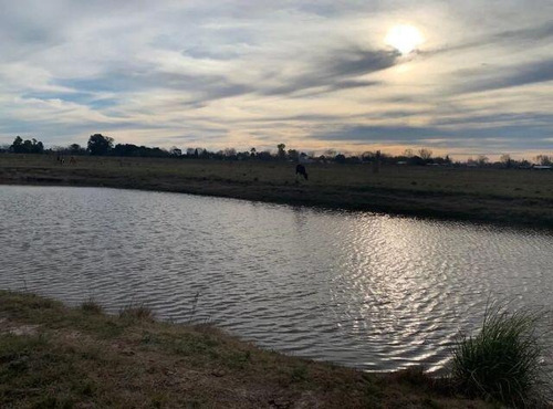 Imagen 6 de 17 de Terreno Barrio Privado Campo Cañuelas Park - Maximo Paz