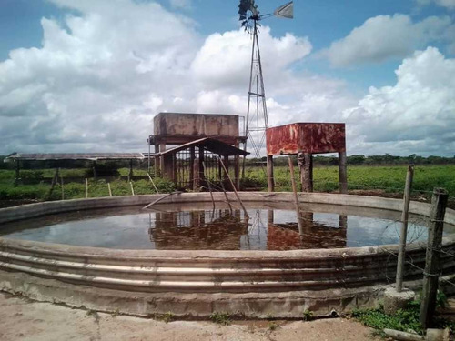 Imagen 26 de 26 de Finca En Venta ,calabozo Guarda Tinajas