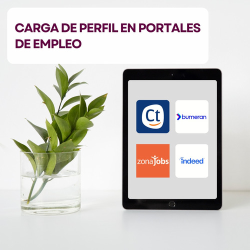 Carga De Perfil Profesional En Portales De Empleo