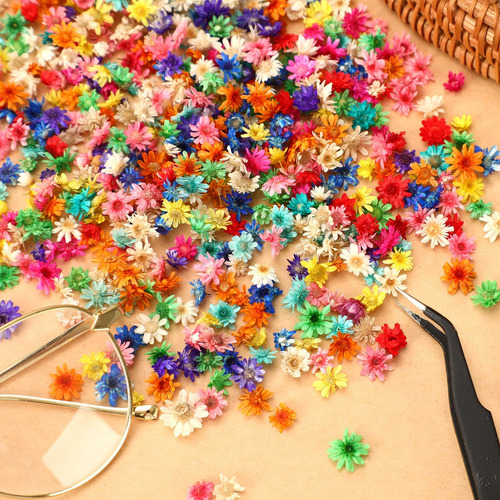 Flores Secas Pequeñas 420 Piezas Para Manualidades Y Uñas