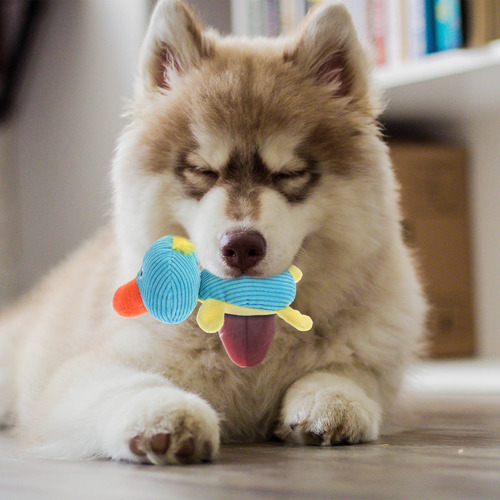 Juguete Portátil Para Morder Perros Squeaky Dog, 1 Unidad, D