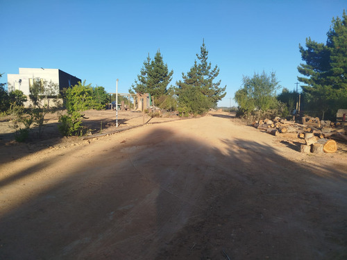 Venta Parcela 5000mts Algarrobo