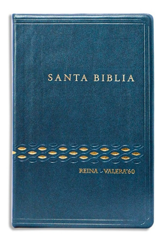 Santa Biblia Rv60 Referencia Vinil 