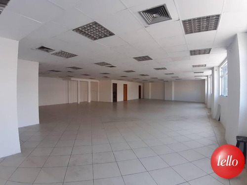 Comercial/industrial - Ref: 221528