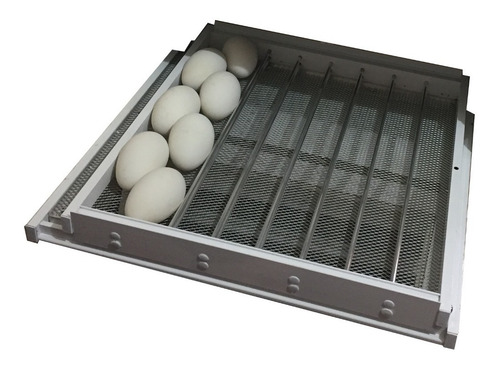 Imagem 4 de 5 de Chocadeiras Automáticas Pioneira Plus Controle De Umidade