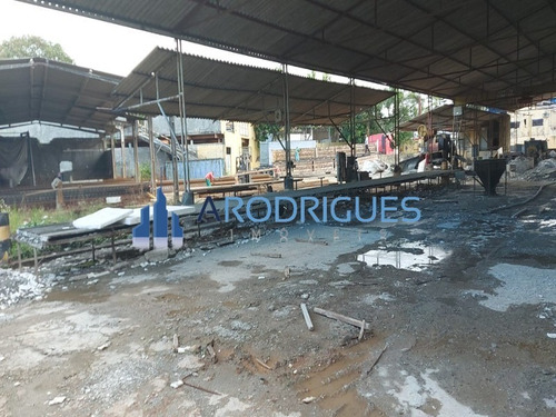 Imagem 8 de 16 de Terreno À Venda No Caji, Quintas Do Picuaia, Ótimo Para Minha Casa Minha Vida, Com10.000 Metros, Plano, Oportunidade - Te00139