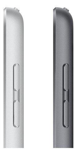 Apple Ipad (9ª Generación) 10.2 Wi-fi 64gb - Gris Espacial