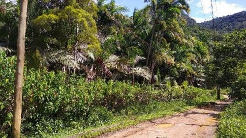 Chácara No Litoral Com 3 Quartos Em Itanhaém/sp 6455-pc