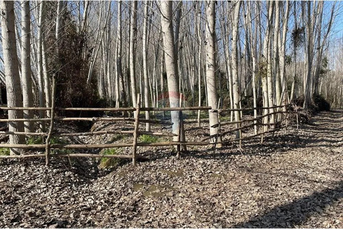 Venta De Terreno, Cuesta De Idahue, Coltauco