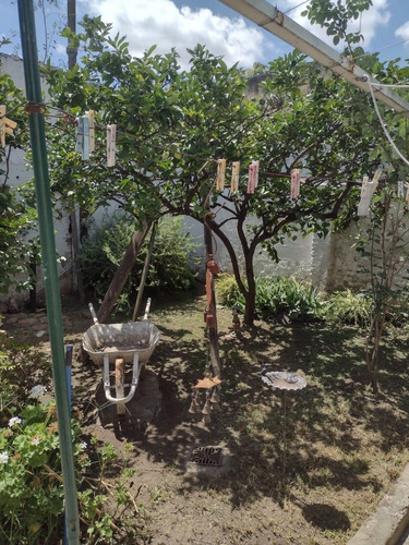 Imagen 8 de 17 de Venta - Casa En Lote Propio 8,66 X 30 - Giorello 1764 - S. L