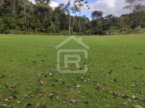 Imagem 29 de 30 de Excelente Sitio Com Topografia Plana, Rico Em Aguá - 12 - 69839868