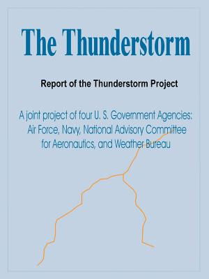 Libro The Thunderstorm: Report Of The Thunderstorm Projec...