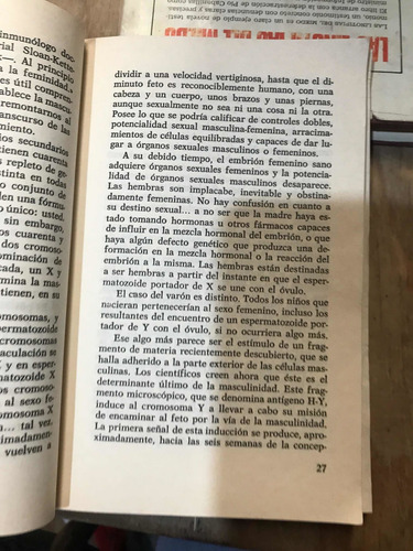 Lo Que Toda Mujer Debe Saber Sobre Los Hombres (Usado)