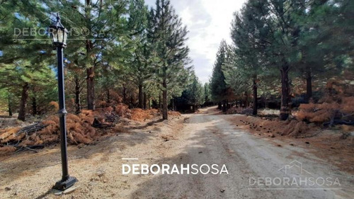 Imagen 22 de 29 de Oportunidad Solo Por 30 Dias! Espléndido Terreno En Altos De Pehuenia