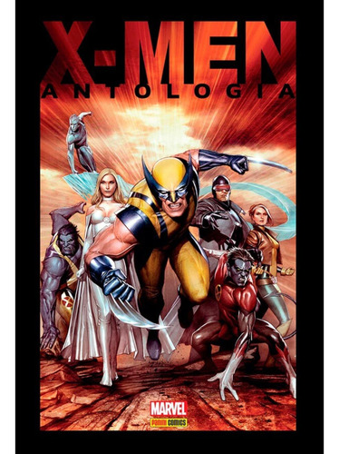Hq Marvel Comics X-men Antologia Com 320 Paginas Da Panini
