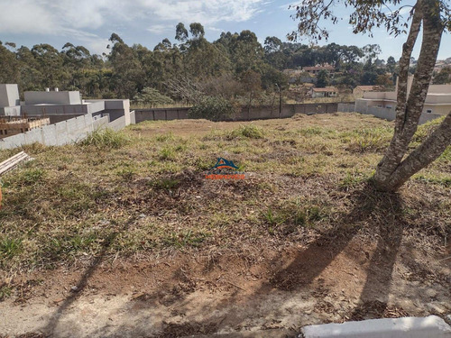 Imagem 1 de 3 de Terreno - Te00074 - 70005520
