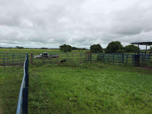 Imagen 6 de 21 de Finca Cerca De Rio Tiznado A 50 Km De Calabozo