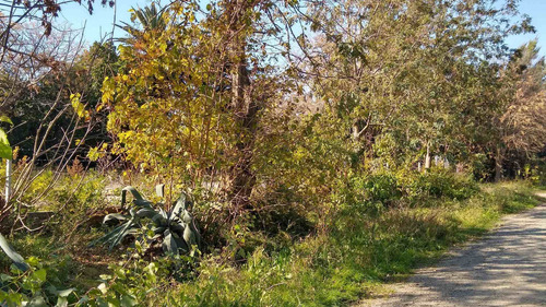 Imagen 12 de 14 de Venta De Lote En Bloque, 1300 Mts Punta Lara