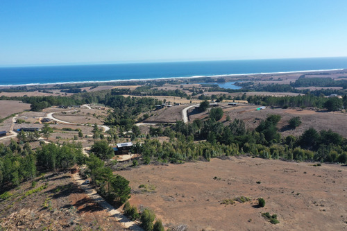 Mar Y Bosque Sobre Punta De Lobos