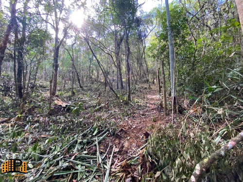 Imagem 6 de 18 de Chácara À Venda 2.749,43m2 Estrada Da Barrinha - São Lourenço/sp - Ch07782 - 69485090