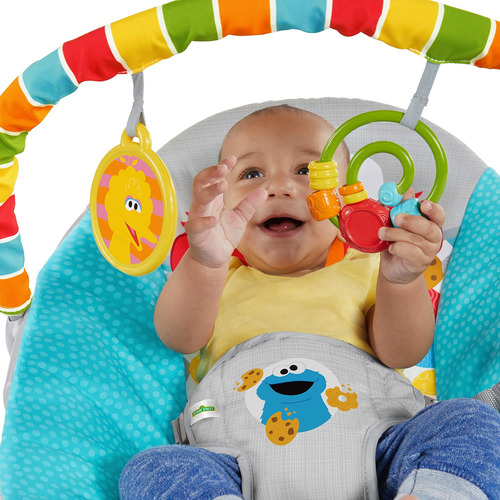 Bright Starts Sesame Street Baby Bouncer Vibrations Vibratio