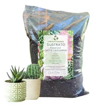Comprar Sustrato Premium Para Cactus Y Suculentas 5l Y 10l