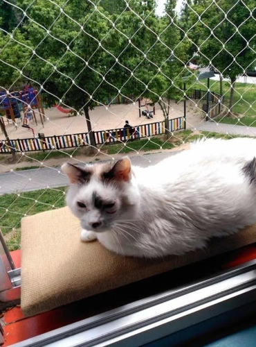 Malla Para Mascotas, Gatos , Protección Ventanas