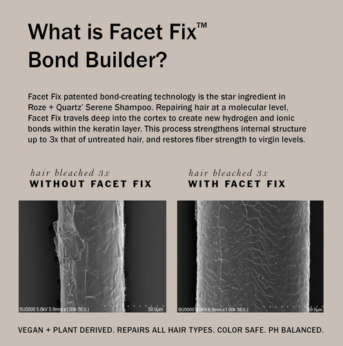Shampoo Roze + Quartz Serene Com Facet Fix Bond Builder (8