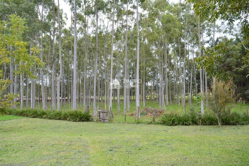 Imagem 7 de 15 de Linda Chácara Jardim Piscina Casa Grande Cabana Açude Eucaliptos - 95265