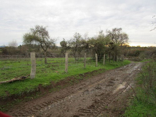 Propiedad Agrícola De Riego Con Derechos De Aguas Río Ñuble