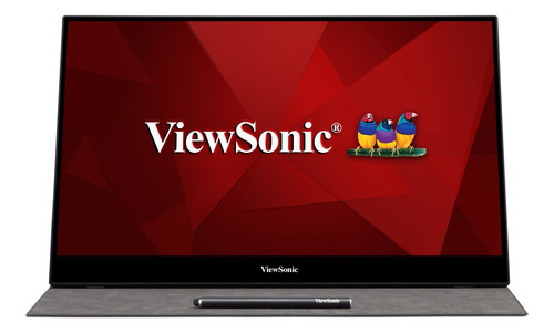 Imagen 1 de 4 de Monitor gamer ViewSonic TD Series TD1655 LCD TFT 16" plateado 100V/240V