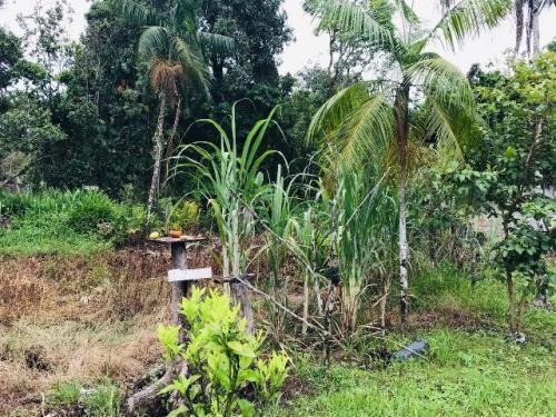 Chácara Com 02 Dormitórios, Em Itanhaém