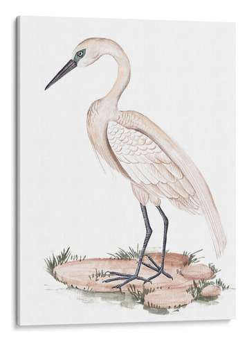 Canvas Lab Cuadro Una Garza Blanca I 60x80, Melissa Wang