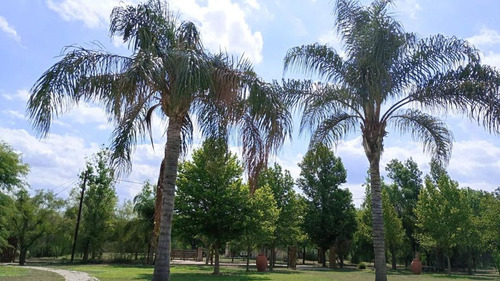 Venta Casa Vuelta De La Barranca