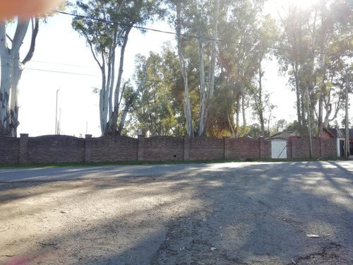 Imagen 3 de 13 de Hectárea En Pilar A Metros De Ruta 28