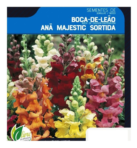 Kit 15mil Sementes Flor Boca De Leão Anã Sortida P/ Jardim