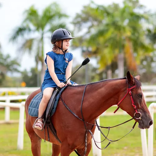 Fusta Para Látigo De Caballo, Fusta De Caballo De Equitación, Látigo De  Caballo, Equipo De Equitación