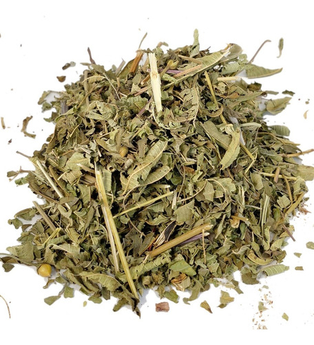 Cedron, Hierba Medicinal Infusión