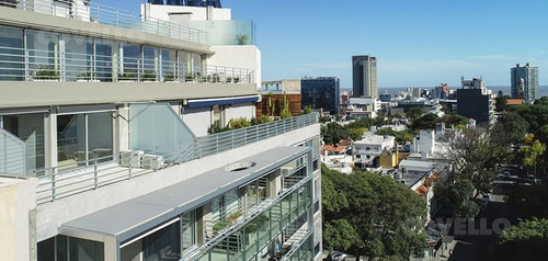 Imagen 13 de 17 de Gala Trend De Categoria. Excelente Apartamento 2 Dorm - Punta Carretas