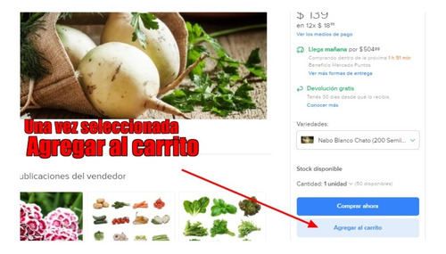 Imagen 4 de 5 de Semillas Huerta A Elección - Mas De 30 Variedades