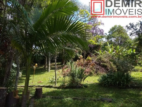 Imagem 6 de 12 de Terreno - Te00008 - 69258914
