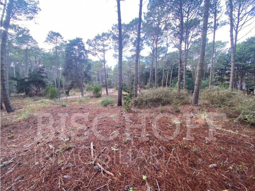 Lote En Carilo Barrio Zorzal Con Proyecto Y Planos Aprobados
